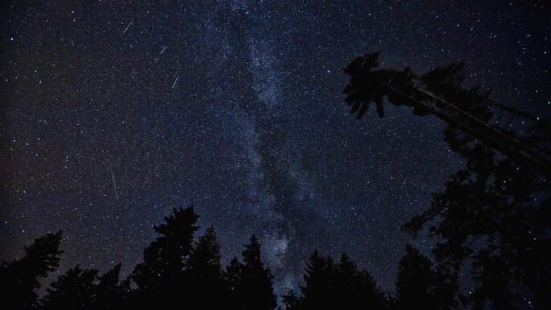 Гороскоп на 12 января 2024: что говорят астрологи