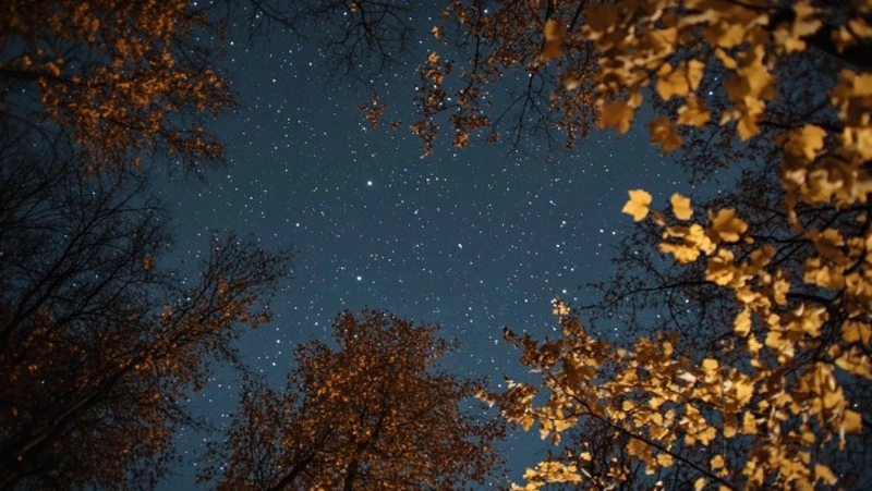 Народные приметы на 25 октября 2024 года — что нельзя делать в этот день