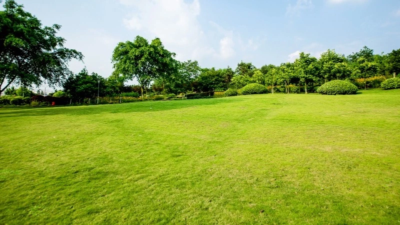 Церковный праздник 17 октября 2023 года: что нельзя делать в этот день