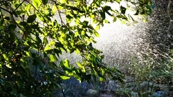 Прогноз погоды на Сахалине и Курилах: выходные под влиянием циклона, в начале недели — потепление