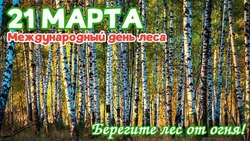 Международный день лесов 2025: яркие и красивые картинки