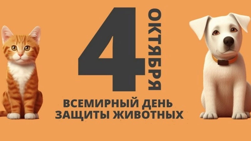 Всемирный день защиты животных 2024: подборка картинок и открыток