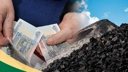 В региональный закон о возмещении расходов на покупку твёрдого топлива внесут поправки