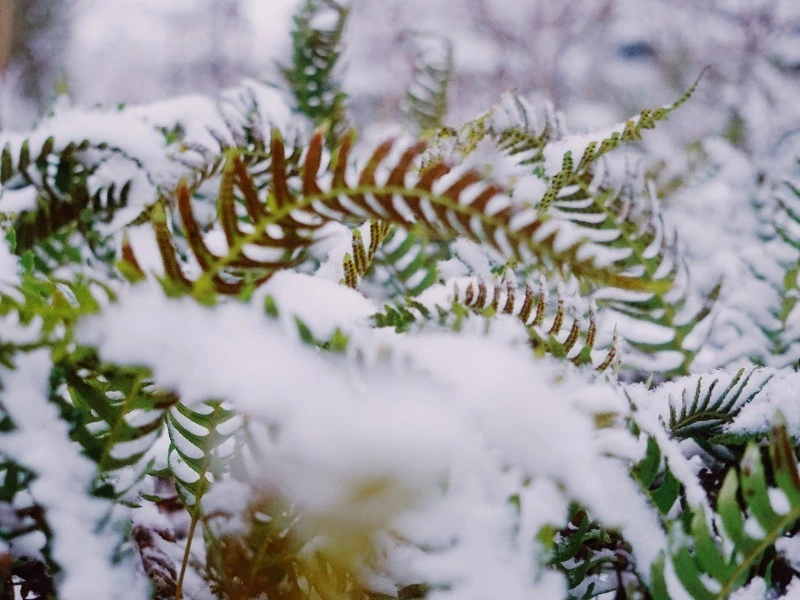 Церковный праздник 24 января 2024: что нельзя делать в этот день