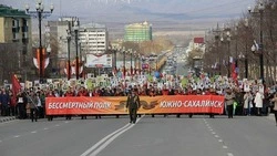 «Бессмертный полк-2026» пройдёт при любых условиях 