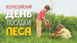 Всероссийский день посадки леса 2025: картинки и открытки