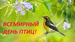 Международный день птиц 2025: теплые и душевные картинки к 1 апреля