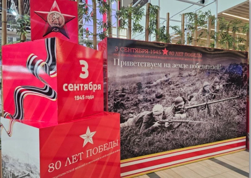 На выставке в аэропорту им. Чехова представили артефакты времён Второй мировой войны