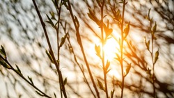 Антициклон принесет значительное потепление в Сахалинскую область