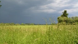 Народные приметы на 16 июня 2025 — что нельзя делать в этот день