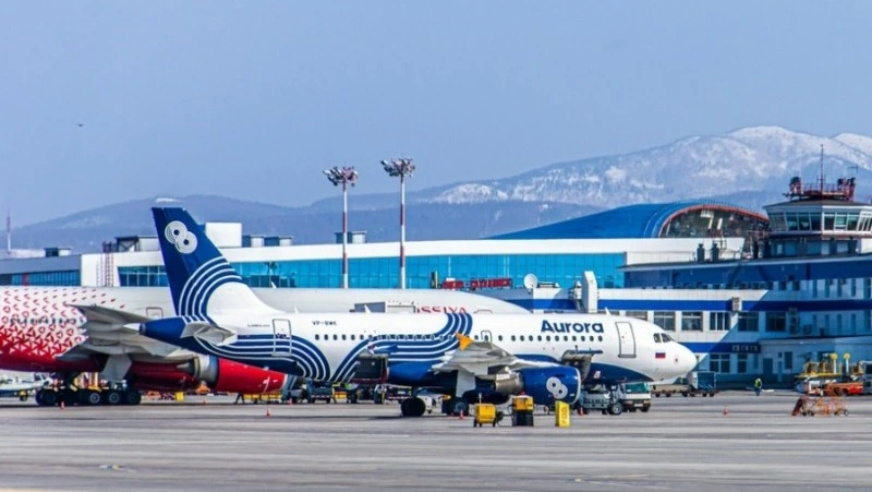 Сервис «Лист ожидания» подвёл итоги работы в ноябре