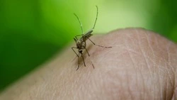 25 апреля: какой сегодня праздник, что было в этот день