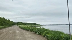 Туман и максимум +20 градусов: прогноз погоды в Сахалинской области на 26 июня
