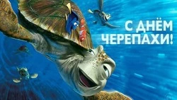 С Всемирным днем черепахи 2025: забавные и яркие картинки