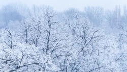 Сильный мороз ожидается в некоторых районах Сахалинской области 17 января