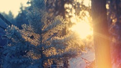Зимнее солнцестояние 2024: точное время и традиции главного дня года