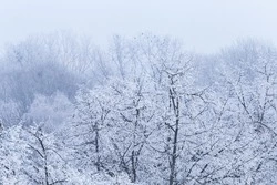 Сильный мороз и свежий ветер: прогноз погоды в Сахалинской области на 7 февраля