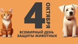 Всемирный день защиты животных 2024: подборка картинок и открыток