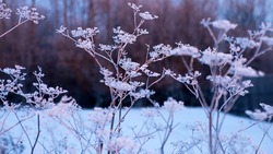 Циклон с Камчатки принесет сильные морозы в Сахалинскую область