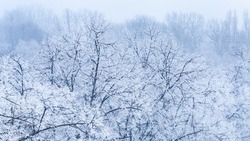 Сильный мороз ожидается в некоторых районах Сахалинской области 17 января