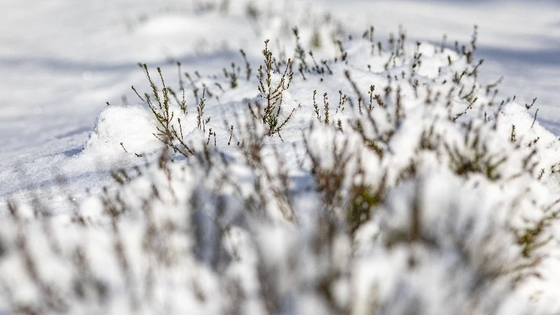 Народные приметы на 18 февраля — что нельзя делать в этот день