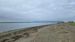 Тепло вернется в Сахалинскую область на следующей неделе