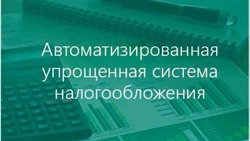 В Сахалинской области бизнесу не придётся самостоятельно считать налоги и сдавать отчётность