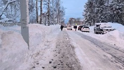 Снег и метель ожидаются в Сахалинской области 7 февраля