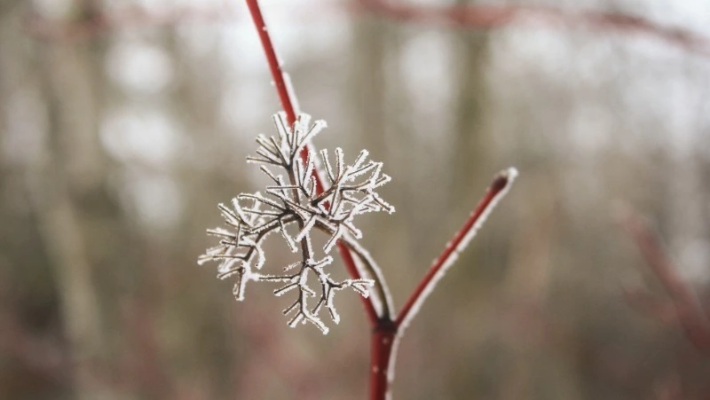 Церковный праздник 21 декабря 2023: что нельзя делать в этот день