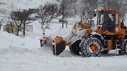 Крещенских морозов на Итурупе не бывает