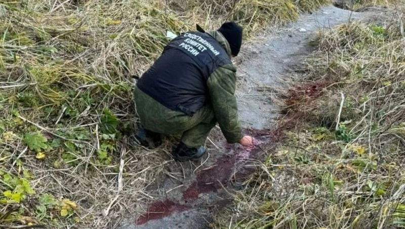 По факту нападения медведя на людей на Итурупе возбуждено уголовное дело