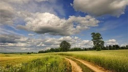 Не только в цифрах: в чём Россия самая-самая