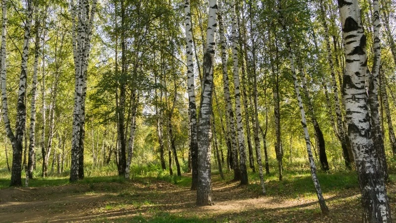 Какой церковный праздник 15 июля 2024 года — что нельзя делать в день Берегини