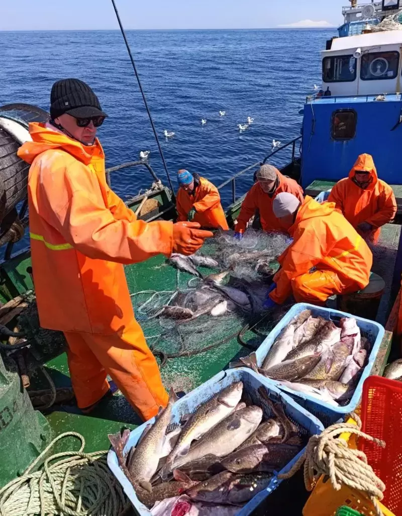 «Курильский рыбак» выловил и сдал на переработку более 130 тонн минтая и трески
