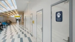 В аэровокзале «Южно-Сахалинск» оборудовали отдельную комнату для ухода за питомцами 