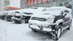Метель и сильный снег: прогноз погоды в Сахалинской области на 6 февраля