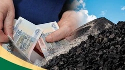 В закон о возмещении расходов на покупку угля и дров внесут поправки 