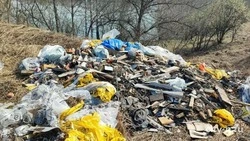 Стихийные свалки на Итурупе будут искать с помощью БПЛА 