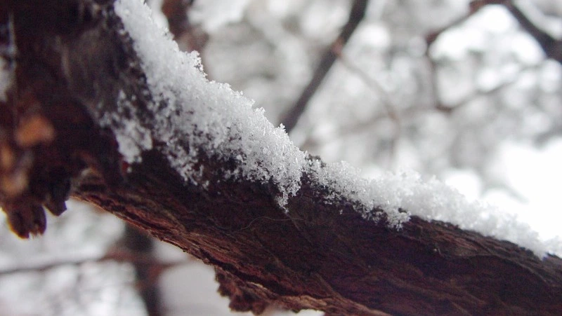 Церковный праздник 29 декабря 2023: что нельзя делать в этот день