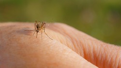 Народные приметы на 26 мая 2025 — что нельзя делать в этот день