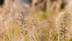 Народные приметы на 11 июня 2025 — что нельзя делать в этот день