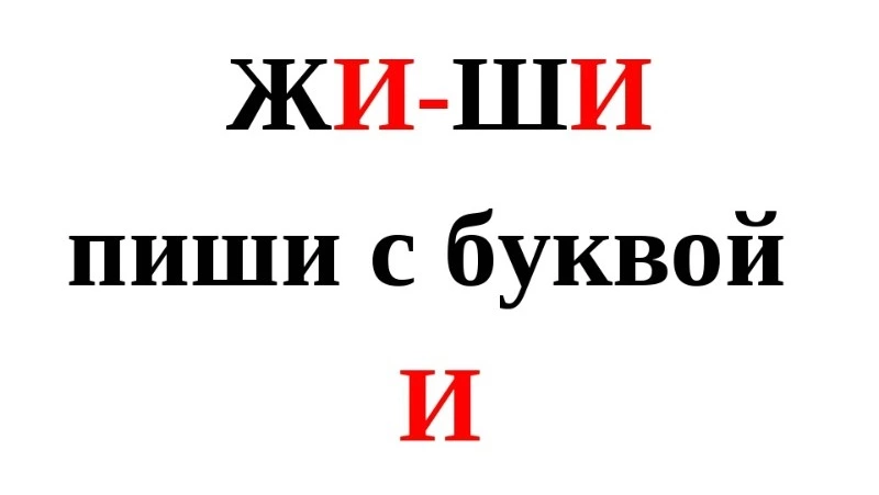 Курильских школьников диагностируют на знание русского языка