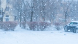 Небольшой снег и до +3 градусов: прогноз погоды в Сахалинской области на 21 марта