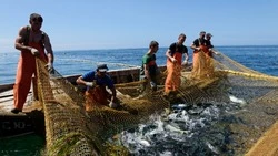 «По коробу поскребли, по сусеку помели»...