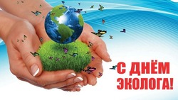 День эколога 2024: поздравительные картинки и открытки