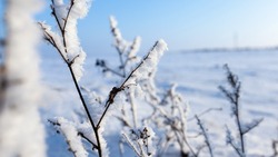 Небольшой снег и 25-градусный мороз: прогноз погоды в Сахалинской области на 25 декабря