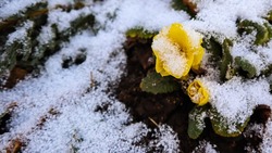 Народные приметы на 27 февраля 2025 — что нельзя делать в этот день