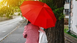 Дожди и выше +20 градусов: прогноз погоды в Сахалинской области на неделю 
