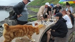Международный День шахмат курильчане отметили на «Ванночках»