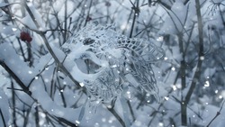 Пятница 13-е в декабре 2024 года: что строго нельзя делать